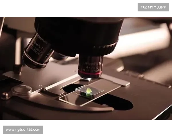 专家建议中国女子橄榄球提升技术数据分析能力以增强整体竞争力 专家建议中国女子橄榄球提升技术数据分析能力以增强整体竞争力